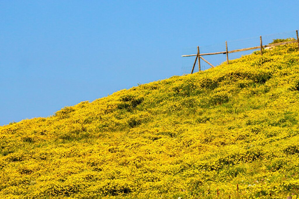 Driving Greece In April - Driving Greece in April