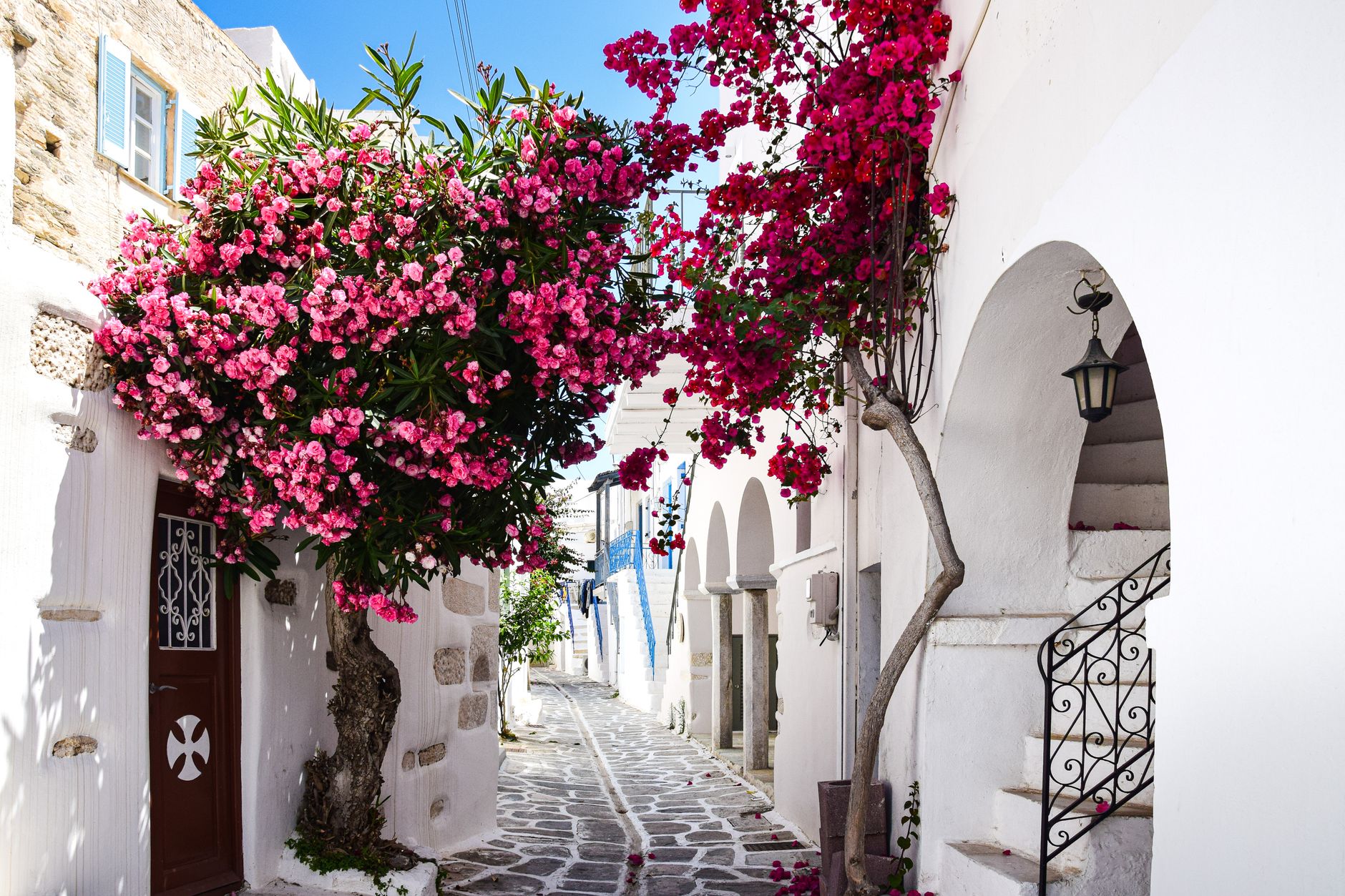 driving greece in april - scenic view of coastal road with spring flowers